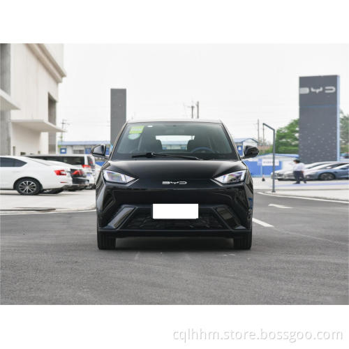 Byd Seagull Mini Auto 2023 più economico in stock Edizione vigorosa Lettonia CEE Electric Car